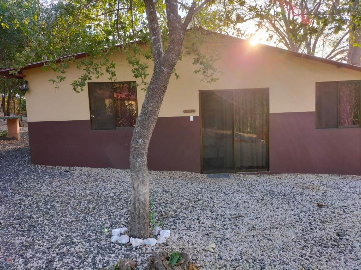 Villa De Los Monos Matapalo  Habitación foto