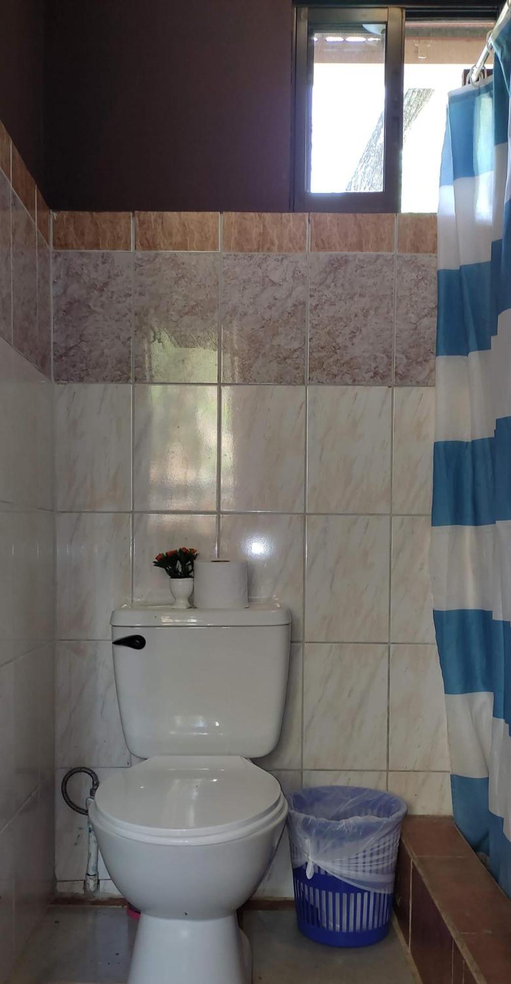 Villa De Los Monos Matapalo  Habitación foto
