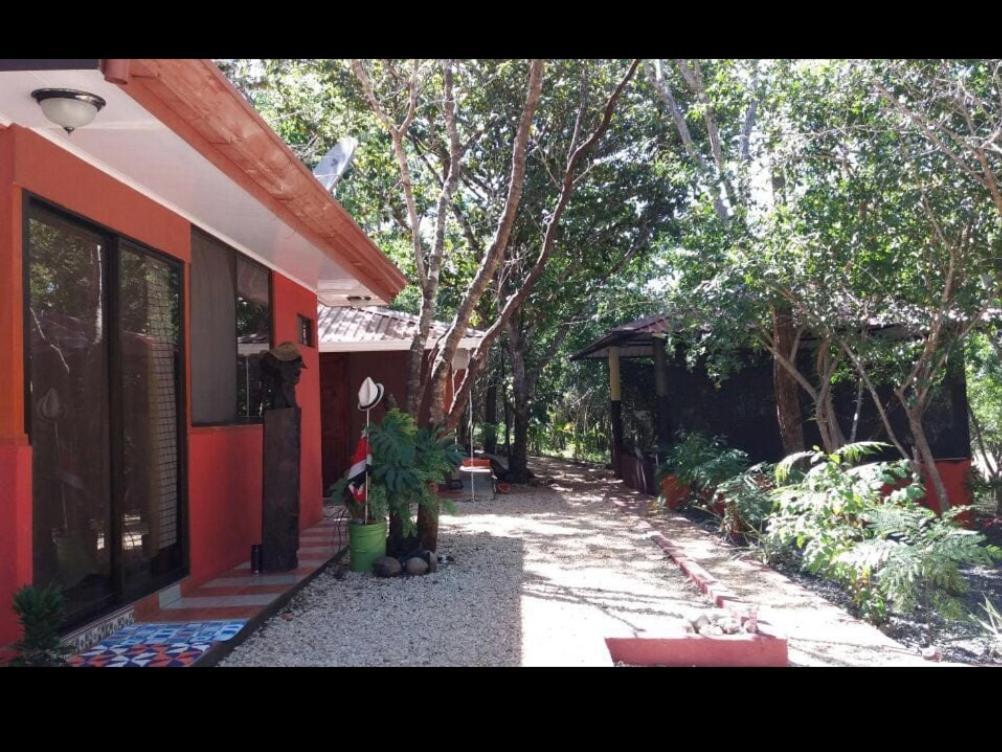 Villa De Los Monos Matapalo  Habitación foto